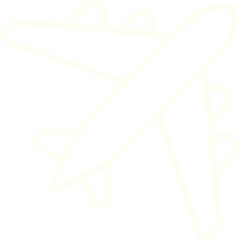 Logo d'un avion